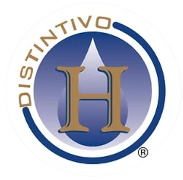 Logo Distintivo H
